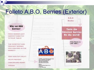 Folleto A.B.O. Berries (Exterior)
 