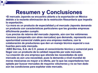 Resumen y Conclusiones
•El mercado Japonés se encuentra abierto a la exportación en México
debido a la reciente eliminación de la restricción fitosanitaria que impedía
la exportación.
•La mora es un producto de especialidad y el mercado Japonés demanda
un producto con características particulares que las grandes empresas
dificilmente pueden cumplir.
•Los precios de retorno del mercado Japonés, aún con los volúmenes
menores (comparado con otros mercados) que demanda, representa una
oportunidad comercial viable para una empresa mediana, con la
colaboración de productores que den un manejo técnico especial a sus
huertos para este mercado.
•ABO Berries, S.A. de C.V. posee el conocimiento técnico y comercial para
llegar con un producto de la calidad requerida por este mercado.
•La creación de una empresa que atienda las necesidades de este
mercado es aún una necesidad, pues la demanda a nivel mundial de
moras mexicanas es mayor a la oferta, por lo que las exportadoras han
optado por buscar mercados de mayores vólumenes y no se han dado
aún las condiciones para explotar este mercado.
 