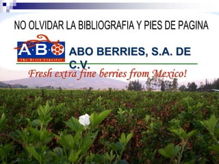 NO OLVIDAR LA BIBLIOGRAFIA Y PIES DE PAGINA

            ABO BERRIES, S.A. DE
            C.V.
  Fresh extra fine berries from Mexico!
 