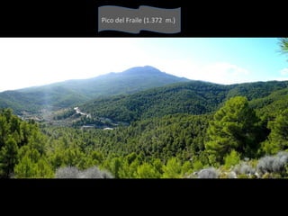 Pico del Fraile (1.372 m.)
 