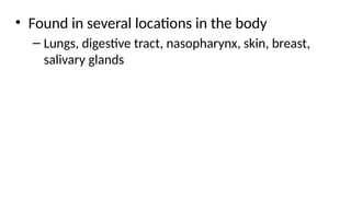 • Found in several locations in the body
– Lungs, digestive tract, nasopharynx, skin, breast,
salivary glands
 