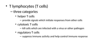 • T lymphocytes (T cells)
– three categories
• helper T cells
– provide signals which initiate responses from other cells
• cytotoxic T cells
– kill cells which are infected with a virus or other pathogen
• regulatory T cells
– suppress immune activity and help control immune response
 