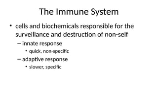The Immune System
• cells and biochemicals responsible for the
surveillance and destruction of non-self
– innate response
• quick, non-specific
– adaptive response
• slower, specific
 