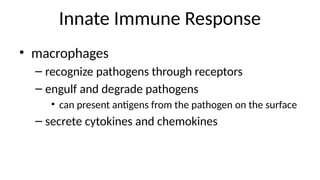 Innate Immune Response
• macrophages
– recognize pathogens through receptors
– engulf and degrade pathogens
• can present antigens from the pathogen on the surface
– secrete cytokines and chemokines
 