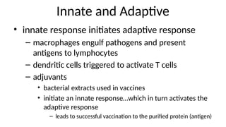 Innate and Adaptive
• innate response initiates adaptive response
– macrophages engulf pathogens and present
antigens to lymphocytes
– dendritic cells triggered to activate T cells
– adjuvants
• bacterial extracts used in vaccines
• initiate an innate response…which in turn activates the
adaptive response
– leads to successful vaccination to the purified protein (antigen)
 