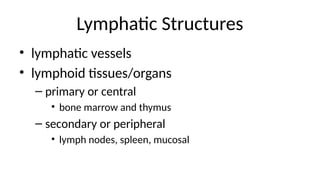 Lymphatic Structures
• lymphatic vessels
• lymphoid tissues/organs
– primary or central
• bone marrow and thymus
– secondary or peripheral
• lymph nodes, spleen, mucosal
 