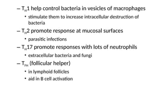 – TH1 help control bacteria in vesicles of macrophages
• stimulate them to increase intracellular destruction of
bacteria
– TH2 promote response at mucosal surfaces
• parasitic infections
– TH17 promote responses with lots of neutrophils
• extracellular bacteria and fungi
– TFH (follicular helper)
• in lymphoid follicles
• aid in B cell activation
 