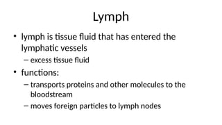 Lymph
• lymph is tissue fluid that has entered the
lymphatic vessels
– excess tissue fluid
• functions:
– transports proteins and other molecules to the
bloodstream
– moves foreign particles to lymph nodes
 