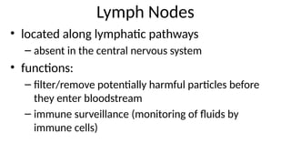 Lymph Nodes
• located along lymphatic pathways
– absent in the central nervous system
• functions:
– filter/remove potentially harmful particles before
they enter bloodstream
– immune surveillance (monitoring of fluids by
immune cells)
 