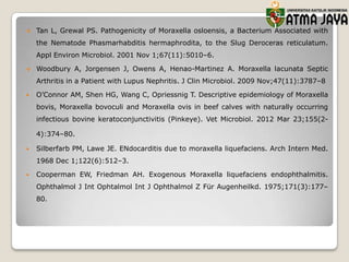

Tan L, Grewal PS. Pathogenicity of Moraxella osloensis, a Bacterium Associated with
the Nematode Phasmarhabditis hermaphrodita, to the Slug Deroceras reticulatum.
Appl Environ Microbiol. 2001 Nov 1;67(11):5010–6.



Woodbury A, Jorgensen J, Owens A, Henao-Martinez A. Moraxella lacunata Septic
Arthritis in a Patient with Lupus Nephritis. J Clin Microbiol. 2009 Nov;47(11):3787–8



O’Connor AM, Shen HG, Wang C, Opriessnig T. Descriptive epidemiology of Moraxella
bovis, Moraxella bovoculi and Moraxella ovis in beef calves with naturally occurring
infectious bovine keratoconjunctivitis (Pinkeye). Vet Microbiol. 2012 Mar 23;155(24):374–80.



Silberfarb PM, Lawe JE. ENdocarditis due to moraxella liquefaciens. Arch Intern Med.
1968 Dec 1;122(6):512–3.



Cooperman EW, Friedman AH. Exogenous Moraxella liquefaciens endophthalmitis.
Ophthalmol J Int Ophtalmol Int J Ophthalmol Z Für Augenheilkd. 1975;171(3):177–
80.

 