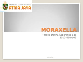 MORAXELLA
Pricilia Donna Esperansa Sea
2012-060-106

10/23/2013

 