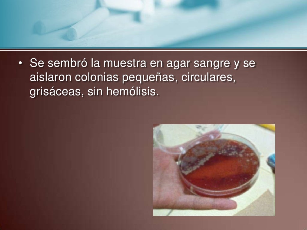 Moraxella Catarrhalis