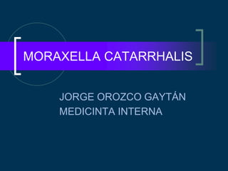 JORGE OROZCO GAYTÁN
MEDICINTA INTERNA
MORAXELLA CATARRHALIS
 