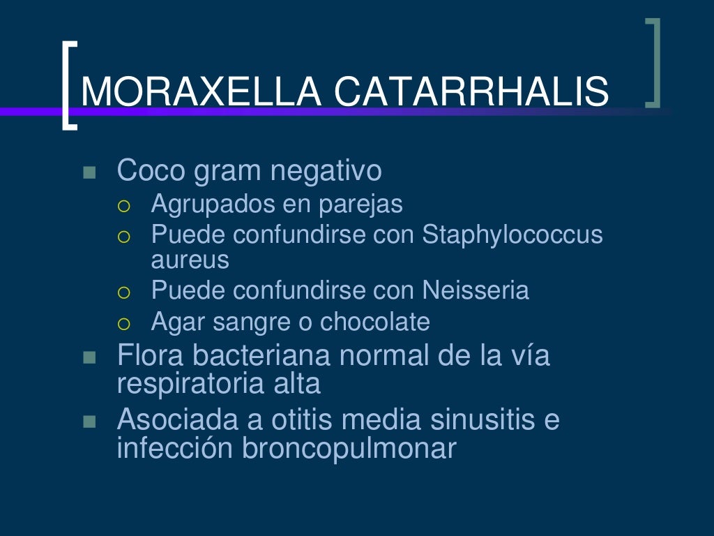 Moraxella catarrhalis