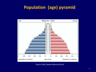 Population (age) pyramid 
24 
Source: http://www.indexmundi.com 
 