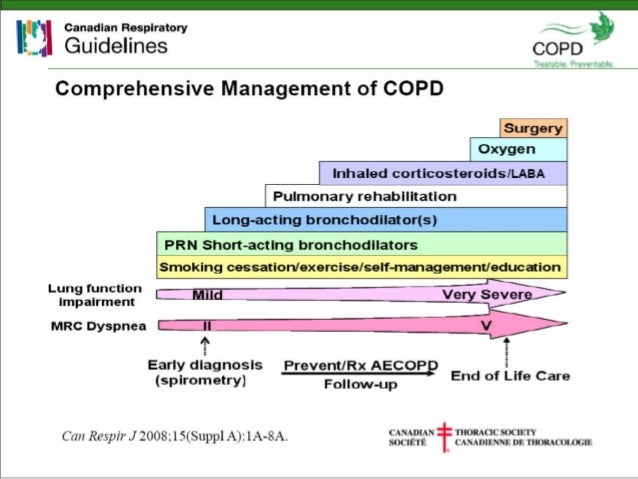 Lama inhalers essay picture