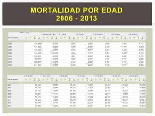 MORTALIDAD POR EDAD
2006 - 2013
 