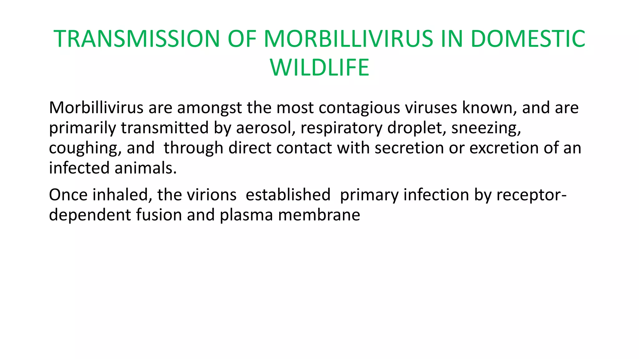 Image showcasing Morbillivirus and wildlife disease | PPTX