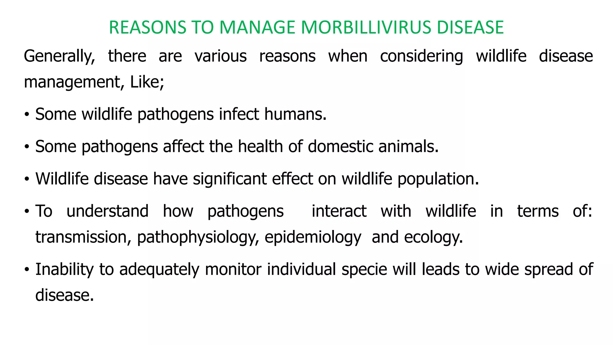 Image showcasing Morbillivirus and wildlife disease | PPTX