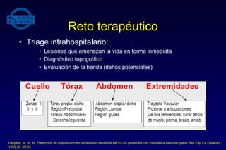 Reto terapéutico
• Triage intrahospitalario:
• Lesiones que amenazan la vida en forma inmediata
• Diagnóstico topográfico
• Evaluación de la herida (daños potenciales)
Delgado, M. et. Al. Predicción de amputación en extremidad mediante MESS en pacientes con traumática vascular grave Rev Esp Cir Osteoart ;
1995 30: 89-93
 