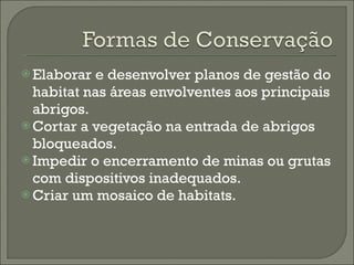 Elaborar e desenvolver planos de gestão do habitat nas áreas envolventes aos principais abrigos. Cortar a vegetação na entrada de abrigos bloqueados.  Impedir o encerramento de minas ou grutas com dispositivos inadequados. Criar um mosaico de habitats. 