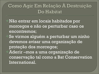 Não entrar em locais habitados por morcegos e não os perturbar caso os encontremos; Se virmos alguém a perturbar um ninho devemos avisar uma organização de proteção dos morcegos; Aderir  – mos a uma organização de conservação tal como a Bat Conservation International. 