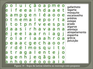 Figura 16  –  Sopa de Letras relativa ao morcego-rato-pequeno 