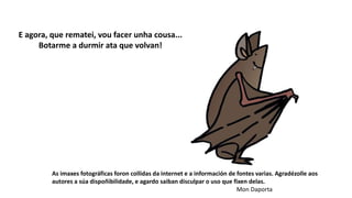 E agora, que rematei, vou facer unha cousa...
Botarme a durmir ata que volvan!
As imaxes fotográficas foron collidas da internet e a información de fontes varias. Agradézolle aos
autores a súa dispoñibilidade, e agardo saiban disculpar o uso que fixen delas.
Mon Daporta
 