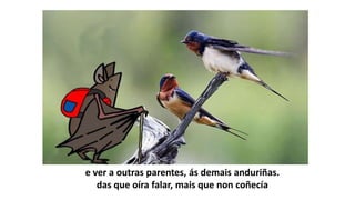 e ver a outras parentes, ás demais anduriñas.
das que oíra falar, mais que non coñecía
 