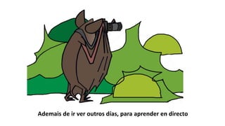 Ademais de ir ver outros días, para aprender en directo
 