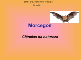 Morcegos  Ciências da natureza   EB2,3 Dra. Maria Alice Gouveia  2010/2011 