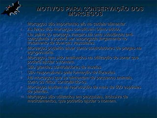 MOTIVOS PARA CONSERVAÇÃO DOS
                   MORCEGOS
1.    Morcegos são importantes elo na cadeia alimentar.
2.    As fezes dos morcegos constituem ótimo adubo.
3.    Na saliva do morcego vampiro há uma substância anti-
      coagulante e poderá ser empregada largamente no
      tratamento de doenças vasculares.
4.    Morcegos poderão atuar como controladores de pragas na
      agropecuária.
5.    Morcegos tem sido analisados na utilização do sonar que
      poderá ajudar o homem.
6.    São grandes controladores de insetos.
7.    São responsáveis pela formação de florestas.
8.    Há morcegos que se alimentam de pequenos animais,
      como os ratos, controlando-os.
9.    Morcegos ajudam na reprodução de mais de 500 espécies
      de plantas.
10.   Morcegos são utilizados em pesquisas, inclusive de
      medicamentos, que poderão ajudar o homem.
 