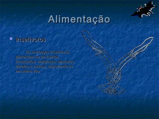 Alimentação
   Insetívoros
         Os morcegos insetívoros
    alimentam-se de insetos
    (mosquitos, mariposas, besouros,
    baratas e outros), capturando-os
    em pleno vôo.
 