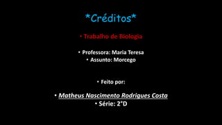 *Créditos*
• Trabalho de Biologia
• Professora: Maria Teresa
• Assunto: Morcego
• Feito por:
• Matheus Nascimento Rodrigues Costa
• Série: 2°D
 