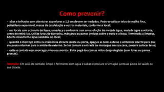 Como prevenir?
- vãos e telhados com aberturas superiores a 1,5 cm devem ser vedados. Pode-se utilizar telas de malha fina,
polietileno expansível, massa de calafetação e outros materiais, conforme o local;
- em locais com acúmulo de fezes, umedeça o ambiente com uma solução de metade água, metade água sanitária,
antes de retirá-las. Utilize luvas de borracha, máscaras ou panos úmidos sobre o nariz e a boca. Terminada a limpeza,
borrife novamente água sanitária no local;
- quando o morcego entra na residência através janela ou porta, apague as luzes e deixe o ambiente aberto para que
ele possa retornar para o ambiente externo. Se for comum a entrada de morcegos em sua casa, procure colocar telas;
- evite o contato com morcegos vivos ou mortos. Evite pegá-los com as mãos desprotegidas (sem luvas ou panos
grossos).
Atenção: Em caso de contato, limpe o ferimento com água e sabão e procure orientação junto ao posto de saúde de
sua cidade.
 