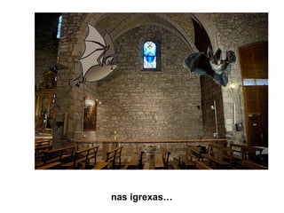 Morcegos galegos