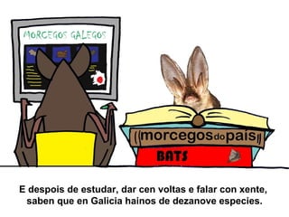 E despois de estudar, dar cen voltas e falar con xente,
 saben que en Galicia hainos de dezanove especies.
 