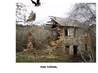nas ruínas,
 