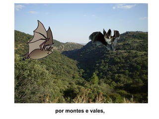 por montes e vales,
 