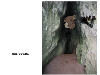 nas covas,
 