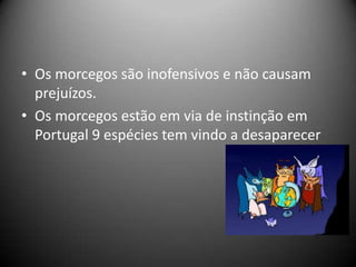 • Os morcegos são inofensivos e não causam
  prejuízos.
• Os morcegos estão em via de instinção em
  Portugal 9 espécies tem vindo a desaparecer
 