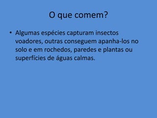 O que comem?
• Algumas espécies capturam insectos
  voadores, outras conseguem apanha-los no
  solo e em rochedos, paredes e plantas ou
  superfícies de águas calmas.
 