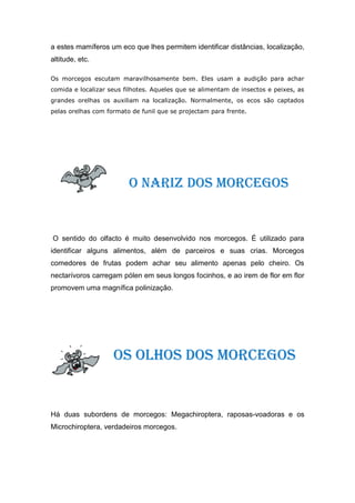 a estes mamíferos um eco que lhes permitem identificar distâncias, localização,
altitude, etc.

Os morcegos escutam maravilhosamente bem. Eles usam a audição para achar
comida e localizar seus filhotes. Aqueles que se alimentam de insectos e peixes, as
grandes orelhas os auxiliam na localização. Normalmente, os ecos são captados
pelas orelhas com formato de funil que se projectam para frente.




                         O Nariz dos Morcegos


O sentido do olfacto é muito desenvolvido nos morcegos. É utilizado para
identificar alguns alimentos, além de parceiros e suas crias. Morcegos
comedores de frutas podem achar seu alimento apenas pelo cheiro. Os
nectarívoros carregam pólen em seus longos focinhos, e ao irem de flor em flor
promovem uma magnífica polinização.




                    Os olhos dos Morcegos


Há duas subordens de morcegos: Megachiroptera, raposas-voadoras e os
Microchiroptera, verdadeiros morcegos.
 