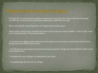    Portugal foi um dos primeiros países europeus a ter um plano de conservação dos morcegos
    cavernícolas, espécies particularmente ameaçadas, publicado em 1990.

   Plano nacional de conservação dos morcegos cavernícolas (1992)

   Desde então, diversas das medidas de conservação propostas neste trabalho, e não só, têm vindo
    a ser implementadas. Destas destacamos:



   - A inclusão dos abrigos mais importantes de espécies cavernícolas na Lista Nacional de Sítios
    designada para a Rede Natura 2000;

   - A realização de um programa de monitorização anual dos abrigos de maternidade e hibernação
    mais importantes;

   - A vedação de cinco abrigos de importância nacional;

   - A estabilização do tecto de um abrigo;
 