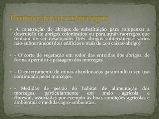  A construção de abrigos de substituição para compensar a
  destruição de abrigos colonizados ou para atrair morcegos que
  tenham de ser desalojados (três abrigos subterrâneose vários
  não-subterrâneos (dois edifícios e mais de 200 caixas-abrigo)

 - O corte de vegetação em redor das entradas dos abrigos, de
  forma a permitir a passagem dos morcegos,

 - O encerramento de minas abandonadas garantindo o seu uso
  continuado pelos morcegos.

 -  Medidas de gestão do habitat de alimentação dos
  morcegos,      particularmente    em     meio    agrícola     e
  florestal, associadas por exemplo às boas condições agrícolas e
  ambientais e medidas agro-ambientais.
 