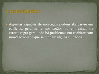  Algumas espécies de morcegos podem abrigar-se em
 edifícios, geralmente nos sótãos ou em caixas de
 estore; regra geral, não há problemas em coabitar com
 morcegos desde que se tenham alguns cuidados.
 