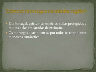  Em Portugal, existem 27 espécies, todas protegidas e
  muitas delas ameaçadas de extinção.
 Os morcegos distribuem-se por todos os continentes
  menos na Antárctica.
 