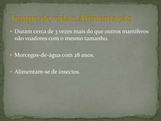  Duram cerca de 3 vezes mais do que outros mamíferos
 não voadores com o mesmo tamanho.

 Morcegos-de-água com 28 anos.


 Alimentam-se de insectos.
 