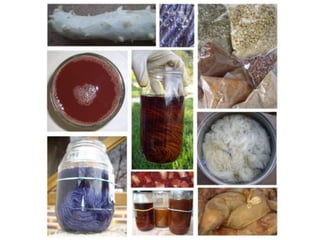 Mordant Dyes