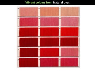 Vibrant colours from Natural dyes
 